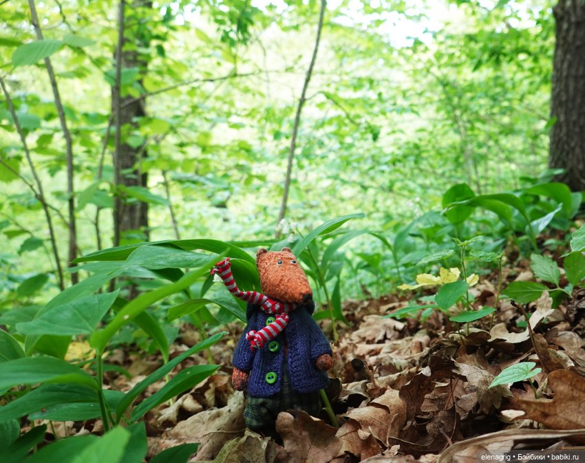 Как мы ландыши искали — Куклы Baboliy (Баболи (фото 3)