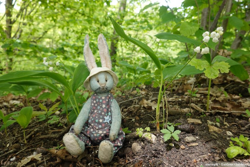 Как мы ландыши искали — Куклы Baboliy (Баболи (фото 6)