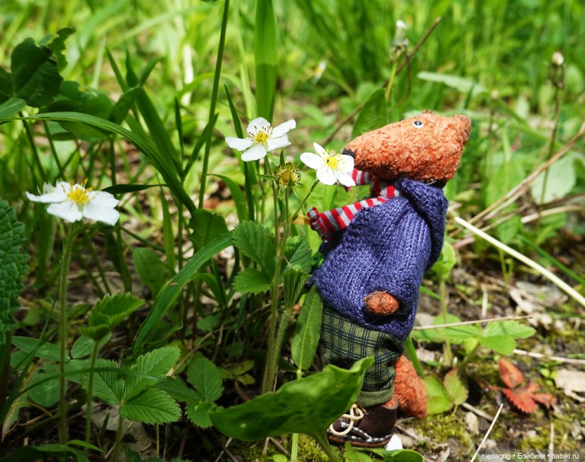 Как мы ландыши искали — Куклы Baboliy (Баболи (фото 7)
