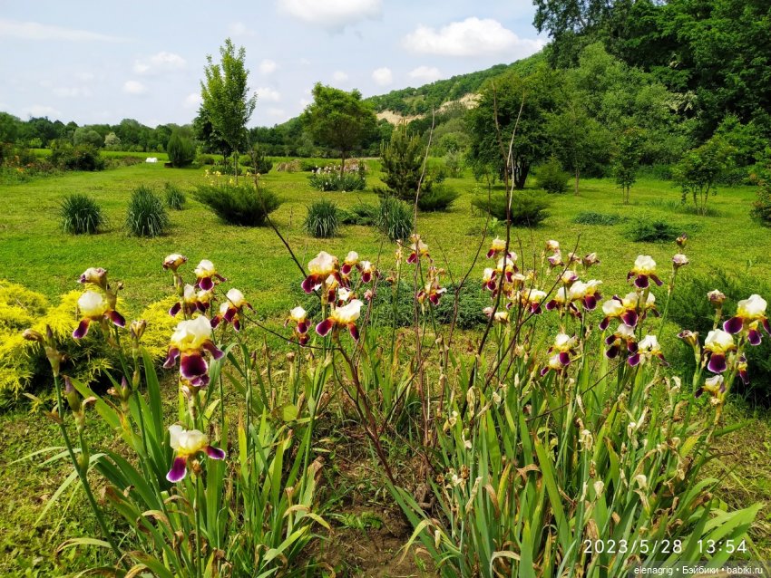 Прогулка в цветочной долине (фото 9)