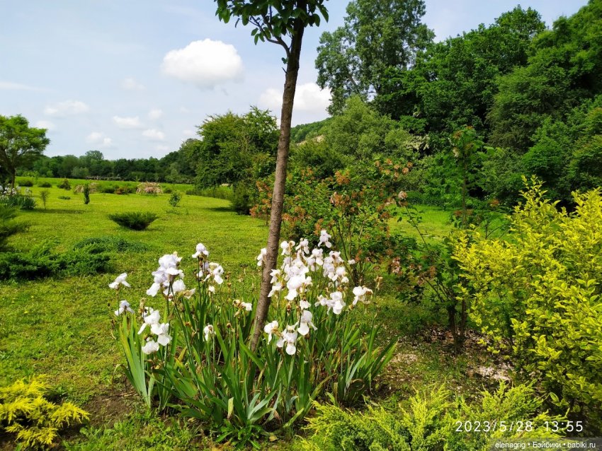 Прогулка в цветочной долине