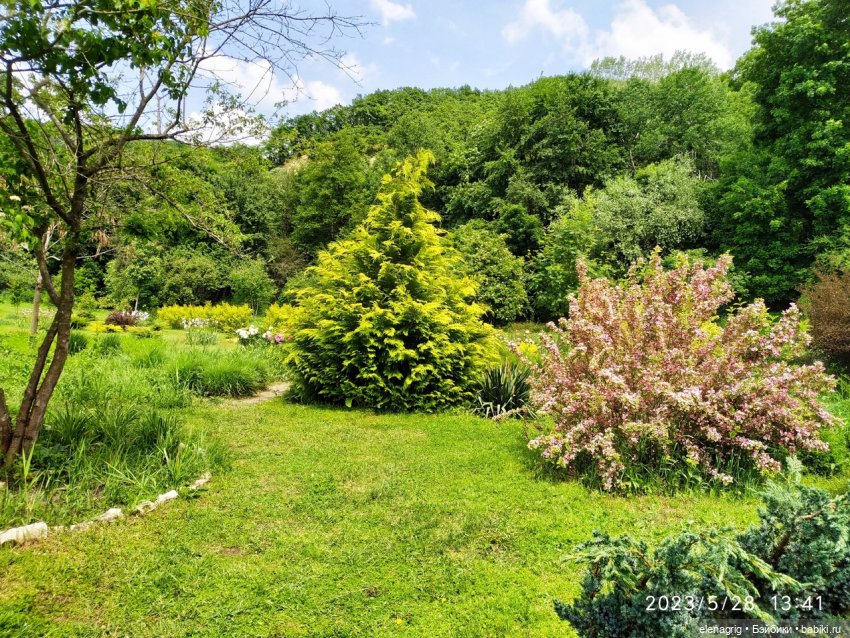 Прогулка в цветочной долине