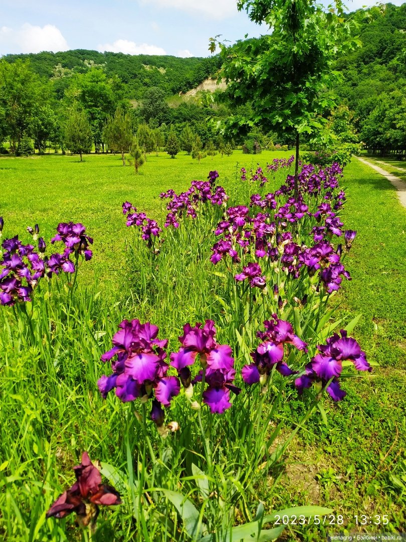 Прогулка в цветочной долине