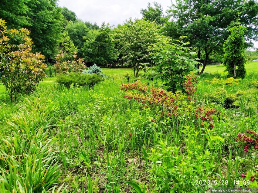 Прогулка в цветочной долине