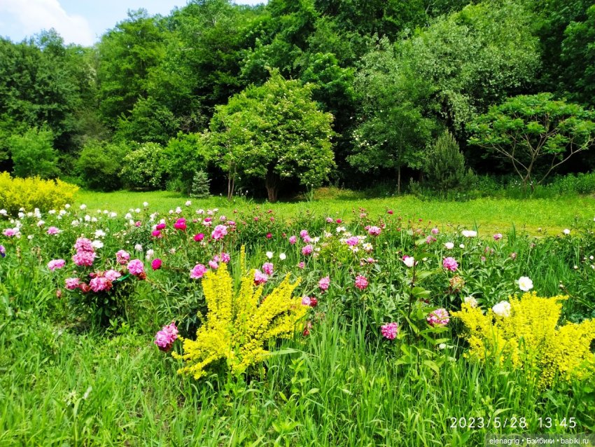 Прогулка в цветочной долине (фото 8)