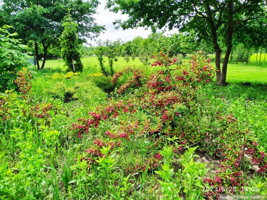 Прогулка в цветочной долине