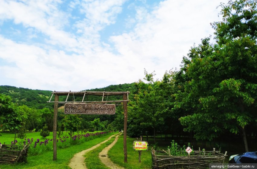 Прогулка в цветочной долине