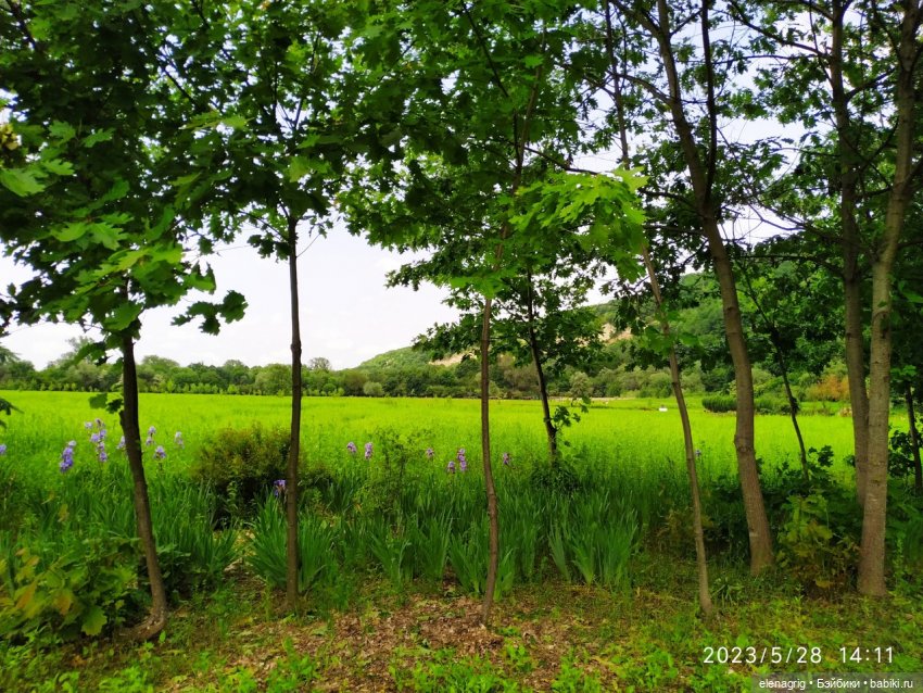 Прогулка в цветочной долине