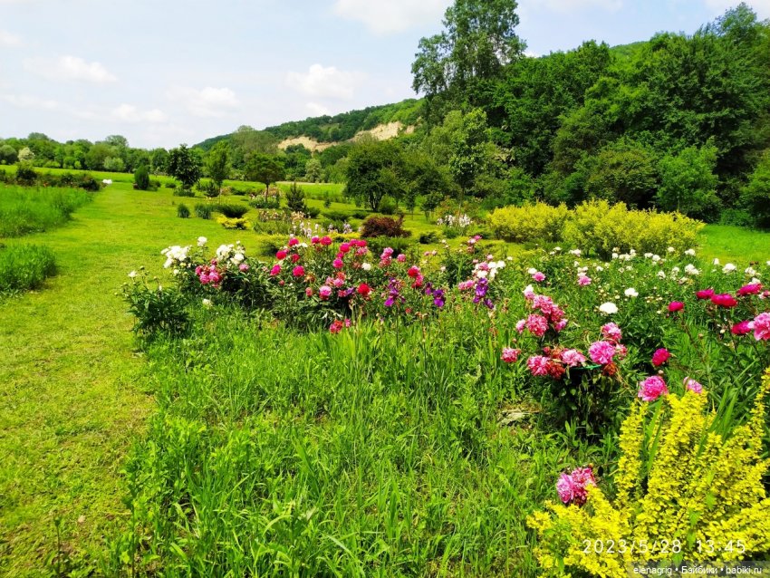 Прогулка в цветочной долине (фото 3)