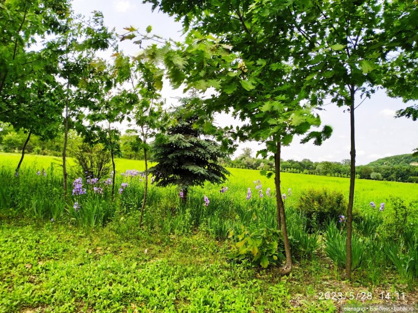 Прогулка в цветочной долине