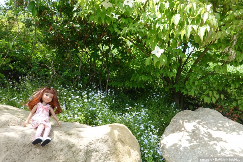 Японский сад в парке галицкого в краснодаре