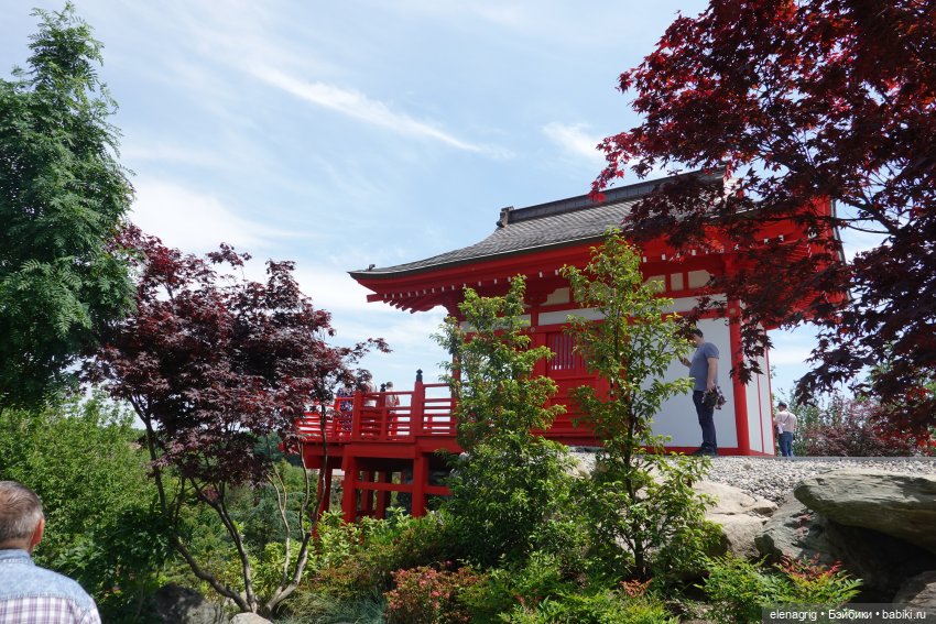 Японский сад в парке галицкого в краснодаре