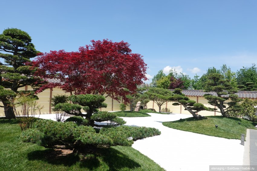 Японский сад в парке галицкого в краснодаре (фото 9)