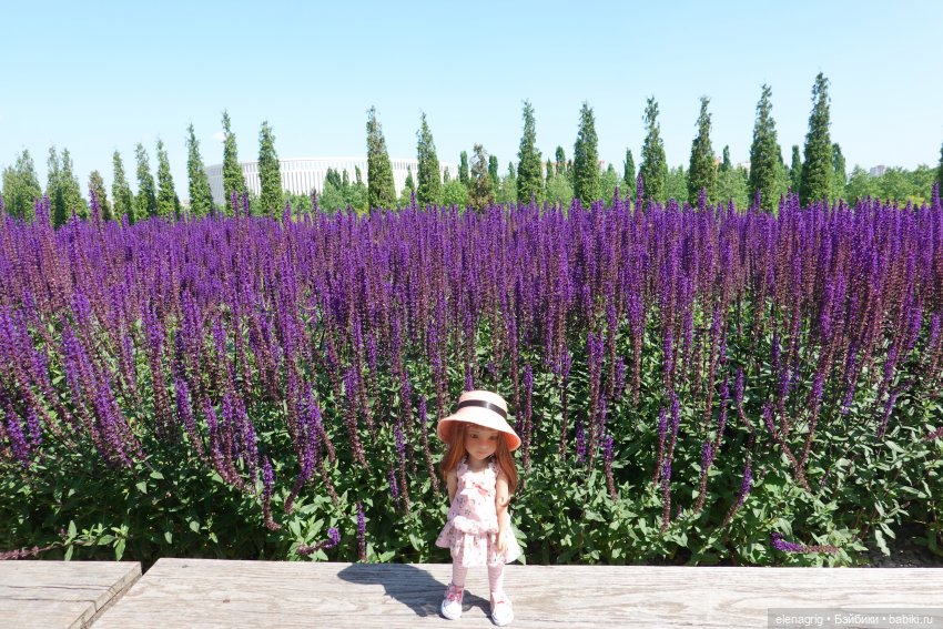 Куклы Ruby Red, Руби Ред