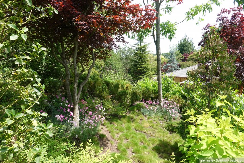 Японский сад в парке галицкого в краснодаре