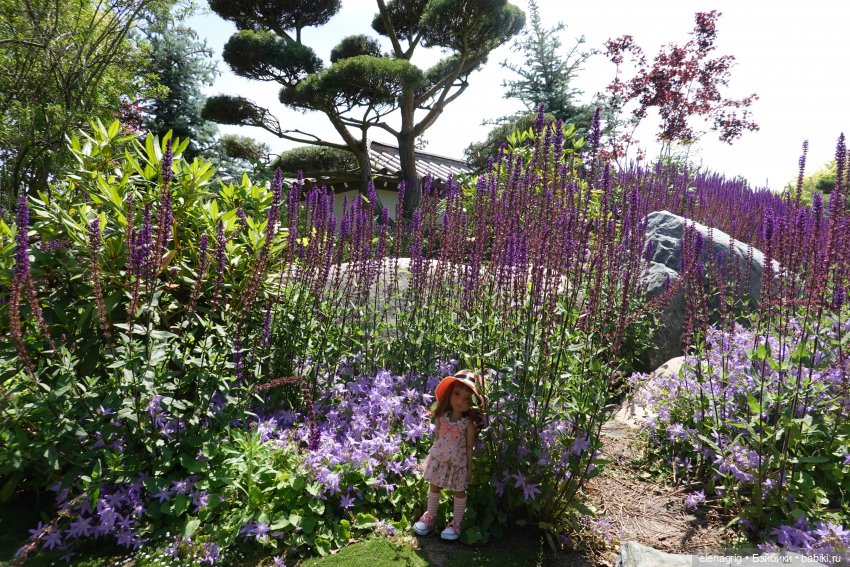 Японский сад в парке галицкого в краснодаре