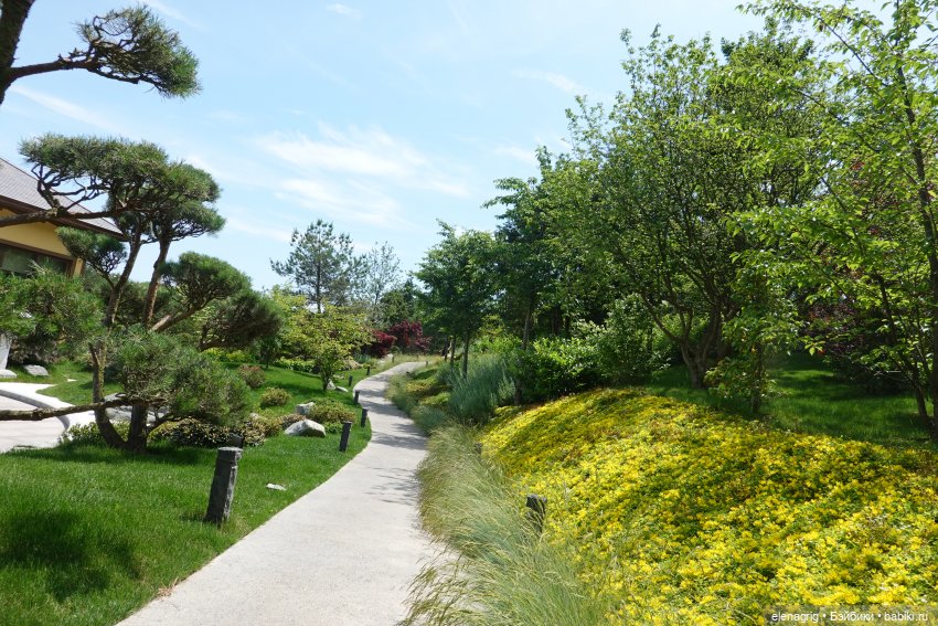 Японский сад в парке галицкого в краснодаре