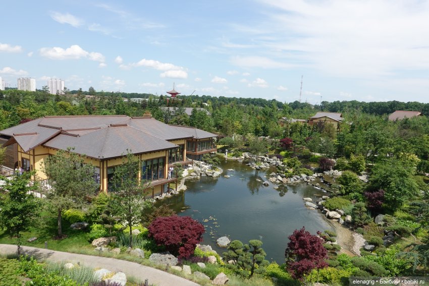 Японский сад в парке галицкого в краснодаре
