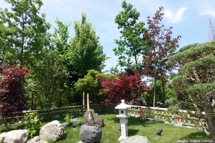 Японский сад в парке галицкого в краснодаре