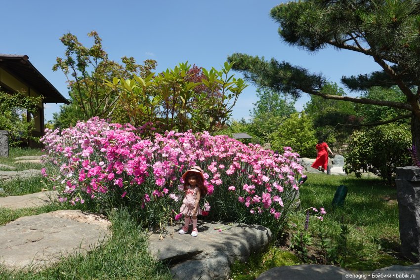 Японский сад в парке галицкого в краснодаре