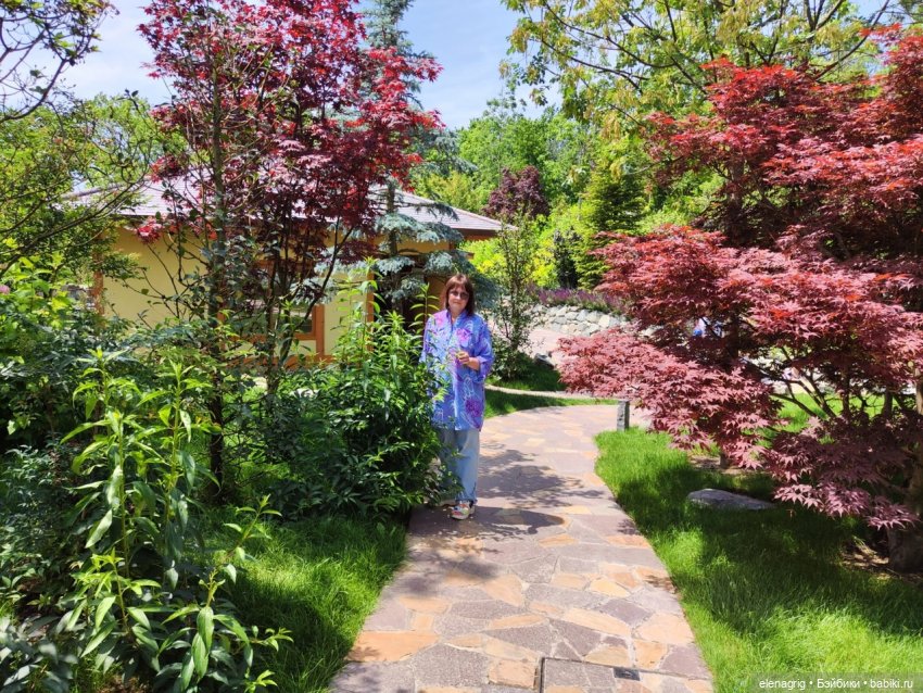 Японский сад в парке галицкого в краснодаре