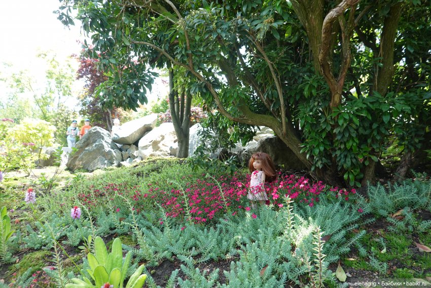 Японский сад в парке галицкого в краснодаре