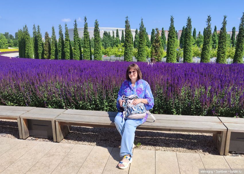 Японский сад в парке галицкого в краснодаре (фото 6)