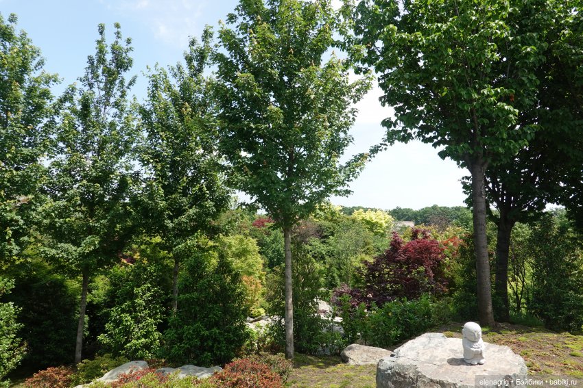 Японский сад в парке галицкого в краснодаре