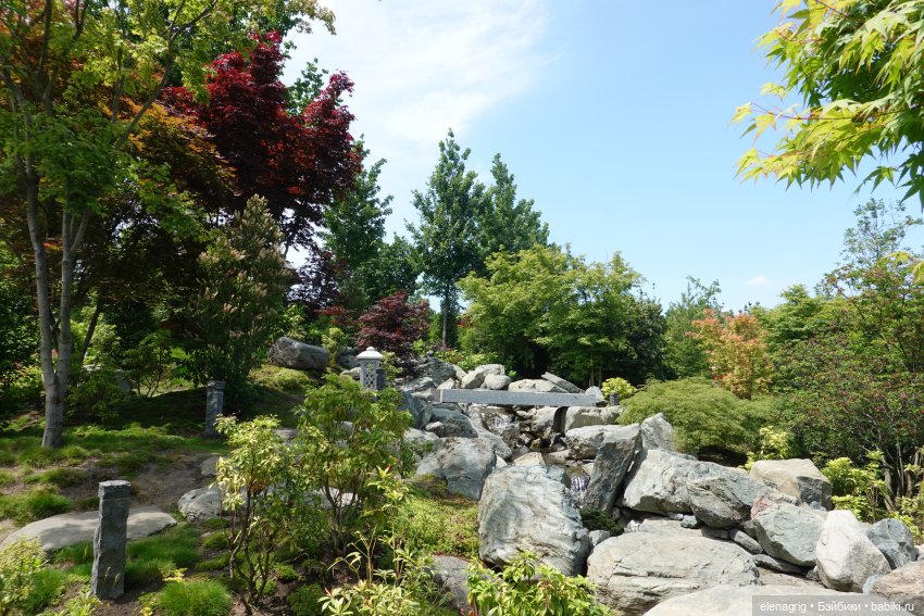 Японский сад в парке галицкого в краснодаре