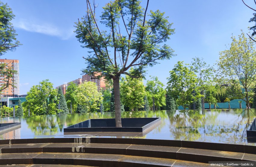 Японский сад в парке галицкого в краснодаре (фото 8)