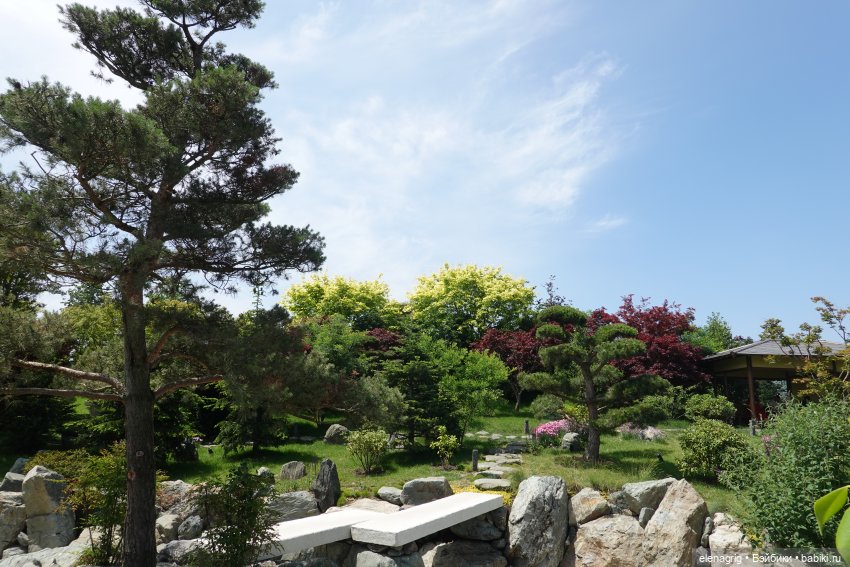 Японский сад в парке галицкого в краснодаре