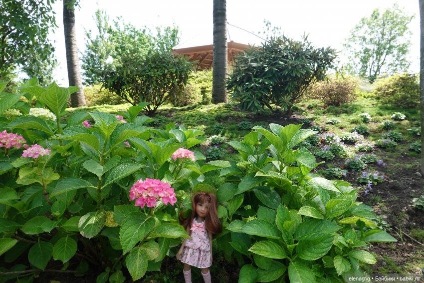 Куклы Ruby Red, Руби Ред