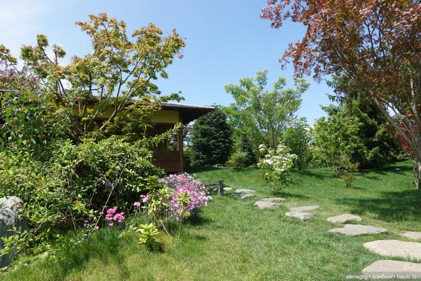 Японский сад в парке галицкого в краснодаре