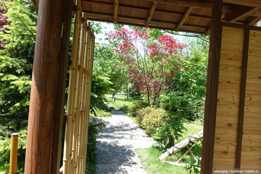 Японский сад в парке галицкого в краснодаре (фото 10)