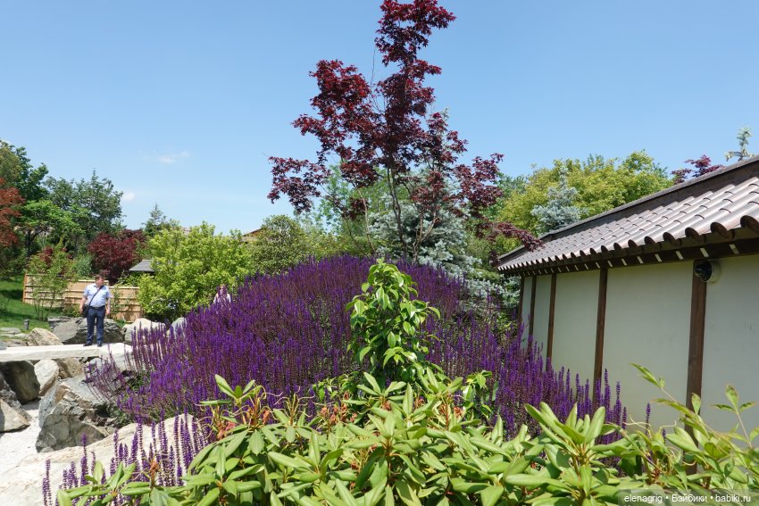 Японский сад в парке галицкого в краснодаре