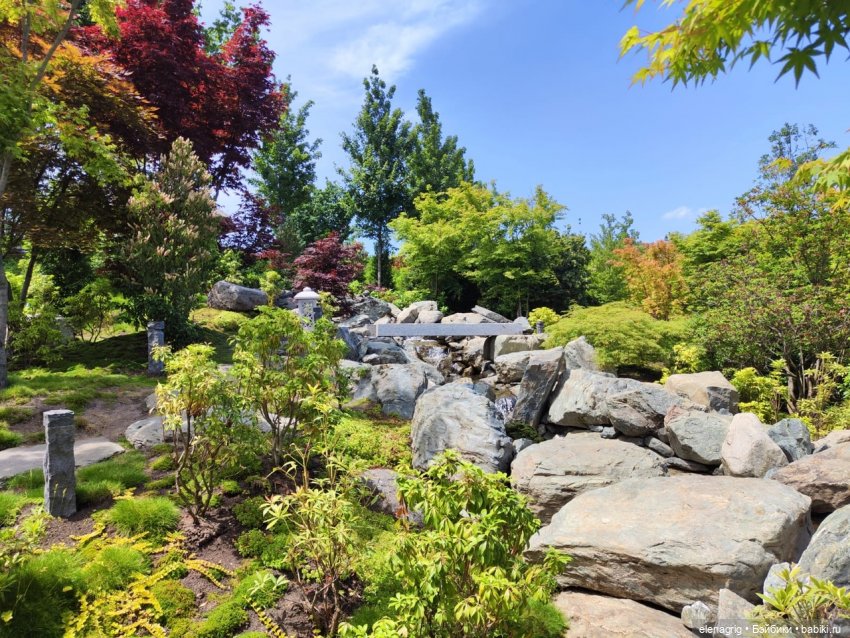 Японский сад в парке галицкого в краснодаре