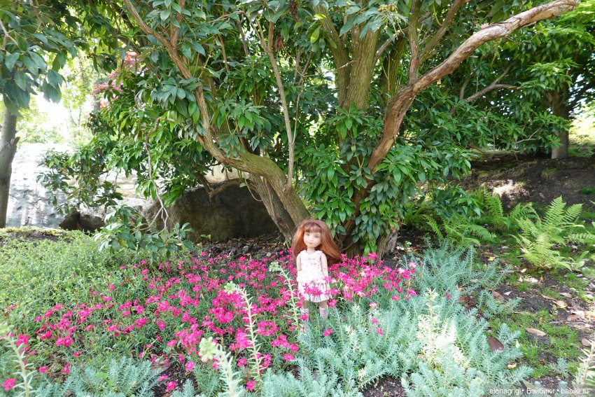 Куклы Ruby Red, Руби Ред