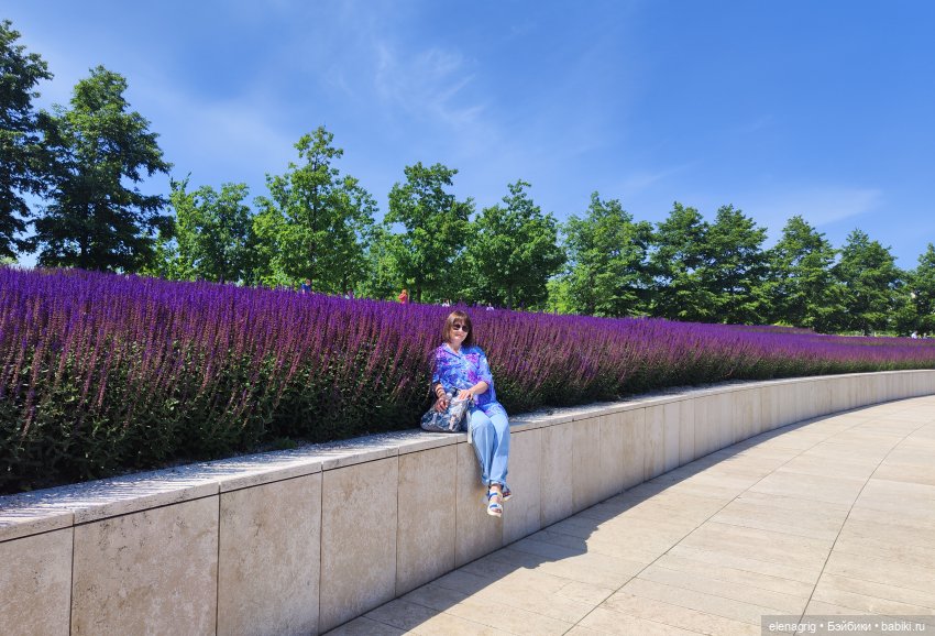 Японский сад в парке галицкого в краснодаре (фото 5)