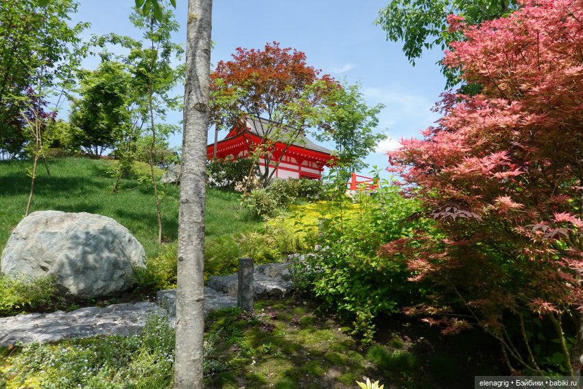 Японский сад в парке галицкого в краснодаре