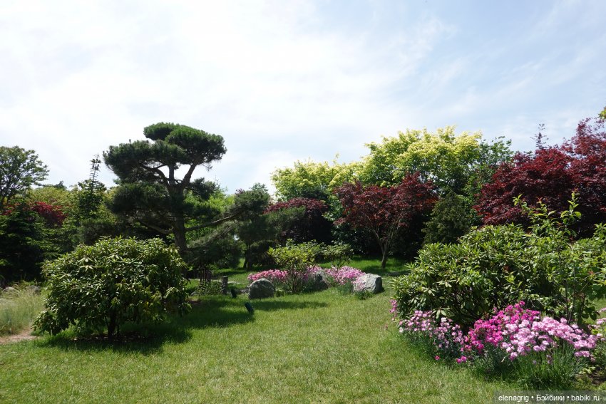 Японский сад в парке галицкого в краснодаре