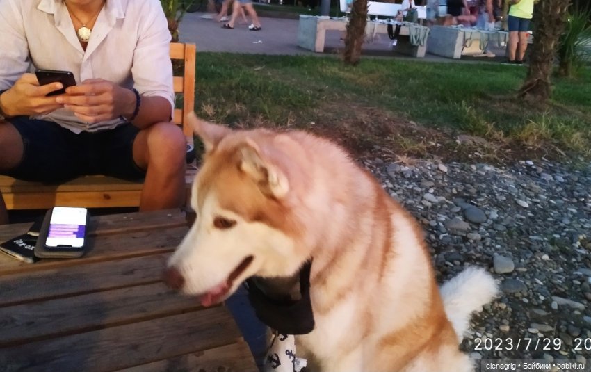 Лето это маленькая жизнь. Отпуск в Батуми