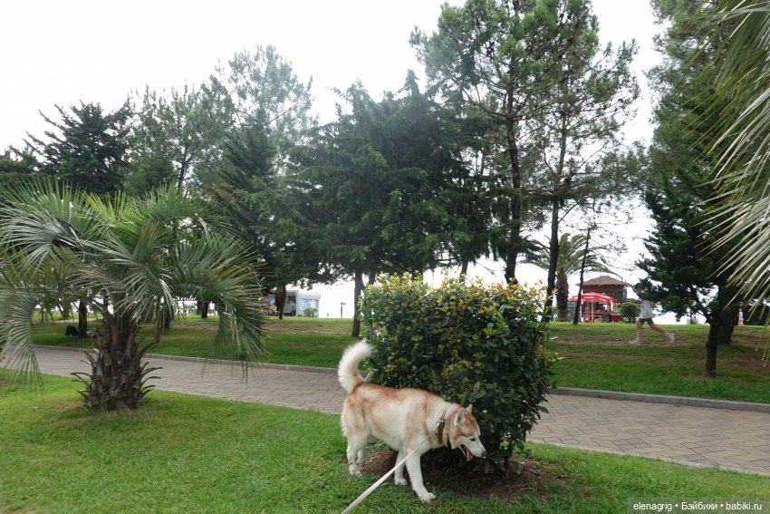 Лето это маленькая жизнь. Отпуск в Батуми