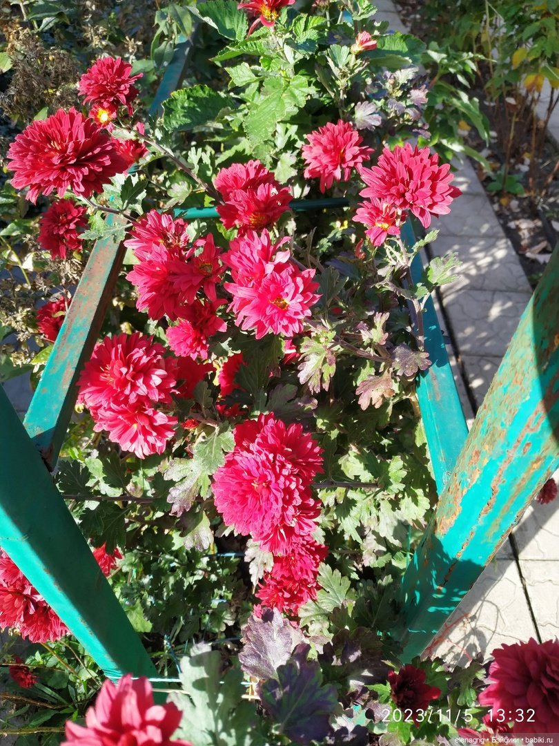 Булочки по одной не селятся (фото 2)