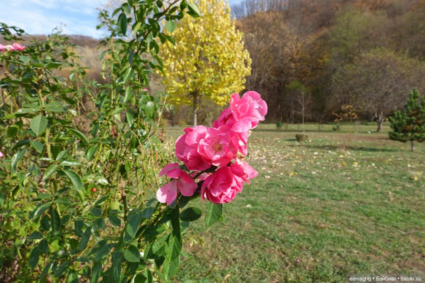 Куклы Ruby Red - Руби Ред
