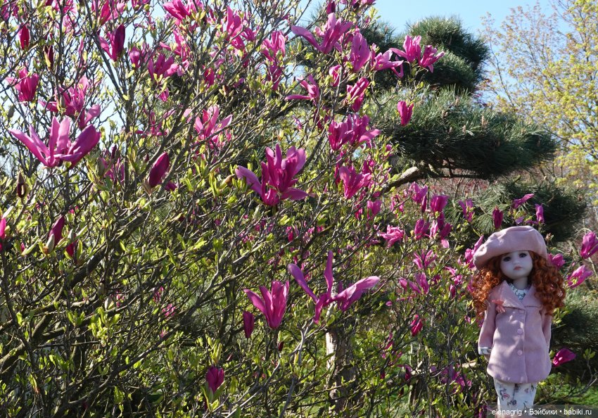 Куклы Ruby Red - Руби Ред