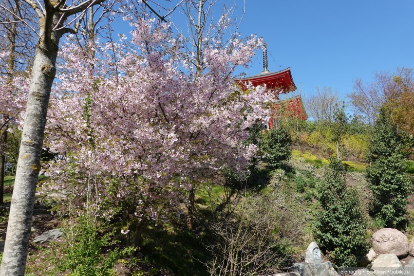 Куклы Ruby Red - Руби Ред