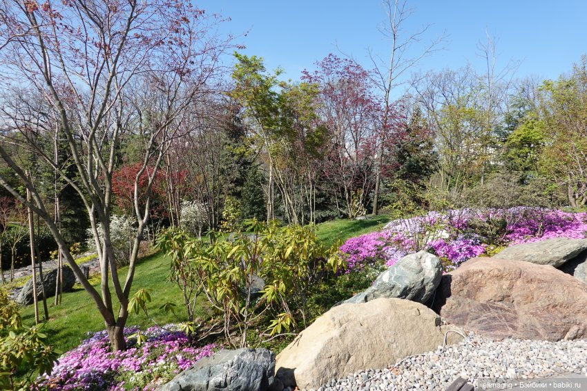 Куклы Ruby Red - Руби Ред