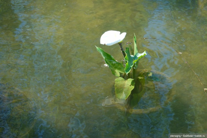 Джи Джи в японском саду — Куклы Ruby Red (Руби Ред) Fashion Friends: Siblies (фото 7)