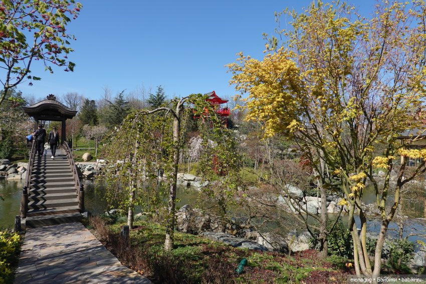 Куклы Ruby Red - Руби Ред