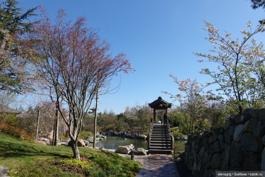 Куклы Ruby Red - Руби Ред